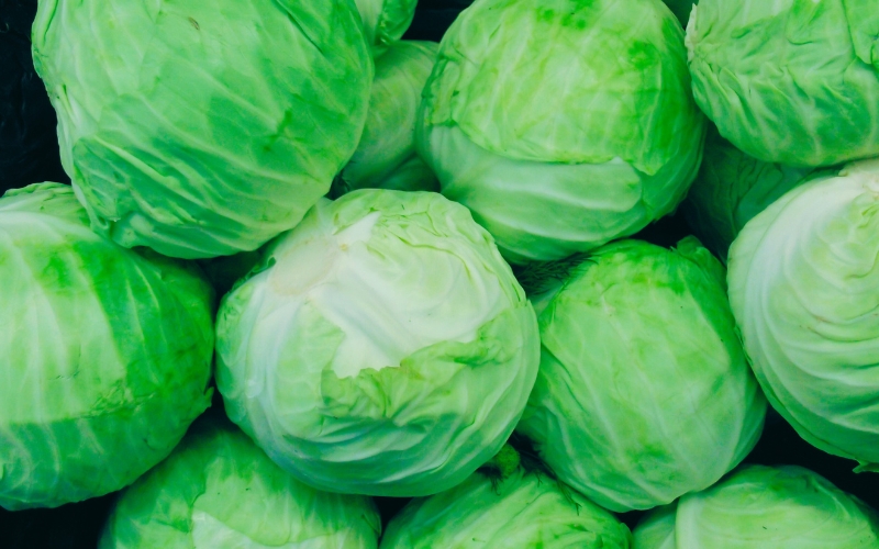 Lettuce Beds