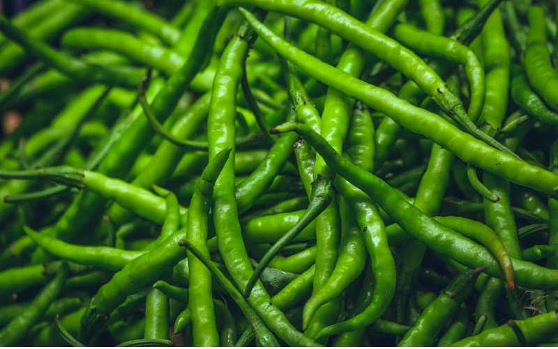Chilly Pepper