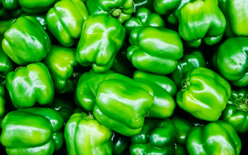 Green Pepper