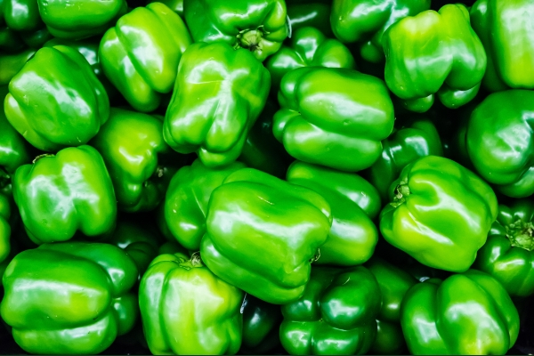Green Bell Peppers